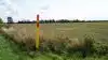 Gasledningen Baltic Pipe kommer til at medføre kæmpestort gravearbejde på tværs af et hav af danske marker. 