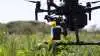 Teknologisk Institut har sammen med Syddansk Universitet, Itelligence og Nygaard-AgroConsult sat sig for at udvikle en drone med en intelligent ukrudtsstryger – også kaldet 'weed wiper' – der kan foretage stedsspecifik bekæmpelse af ukrudt. | Foto: Teknologisk Institut.