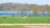 Den 17. november havde Velas debut med det første af en række webinarer med fokus på hold af heste. Ikke mindre end 154 tilmeldte lyttede med ved det første virtuelle møde. Arkivfoto: Camilla Bønløkke