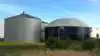 Når oprindelsesgarantierne ikke anvendes til at adskille afgifterne på biogas fra fossil naturgas i gasnettet, fjerner regeringen incitamentet hos virksomhederne til at skifte væk fra fossil energi, mener Biogas Danmark.