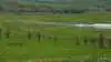Foto: Djursland Landboforening