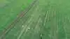 Den gulfarvede sprøjtevæske rammer præcist det angivne spot ud fra tildelingskortet fra droneoverflyning. Kilde og fotos: Teknologisk Institut
