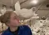 Stina Fruerskov bliver færdig som landmænd til sommer og er efterfølgende fastansat som medhjælper hos ægproducent Henrik Pihl Winterø, Aalundgaard ved Aarup, hvor hun har været ansat i praktikforløb gennem de seneste tre år.