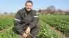 Martin Knudsen, der i alt har seks hektar med jordbærplanter på Kærsgaard i Hjadstrup, glæder sig over, at jordbærrene, der har været overdækket med fiberdug og plast, har sat mange flotte blomster. Fotos: Henriette Lemvig