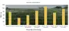 Kilde: oversigt over Landsforsøgene 2016, side 147 Tabel 12
LSD: 129 kg/ha rajgræs