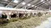 Business Check for 2020 er nu klar. Arkivfoto: Tenna Bang