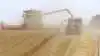 Danish Agro har offentliggjort nye høstbetingelser for 2021. Arkivfoto: Jørgen P. Jensen.