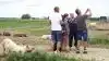 Der var rig lejlighed til at tage såvel fotos som selfies, da de økologiske svineavlere bød på åbent hus, Sofari. Her fra Randi Vinfeldts gård i Østrup på Midtsjælland.