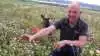 Griseproducent Lars Olsen dyrker både biodiversitet og landbrug på sin ejendom i Halkær ved Nibe. Her er han i kløvermarken, der fungerer som gødning til næste afgrøde, og som skaber biodiversitet med sine mange blomster.