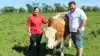 Søskendeparret Kristian Hansen og Julie Hansen bruger meget tid på simmental-besætningen på familiebedriften Brammingborg Simmental. Foto: John Ankersen
