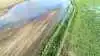 Her ses et screendump fra en dronevideo optaget i 2018, som viser nogle af de oversvømmelser, der ramte Aakær Gods' jorder på grund af den manglende grødeskæring. 