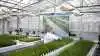 DLF's frølaboratorium i Roskilde. Foto: Food Nation.