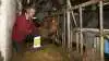 John Helde fremhæver det reducerede spild ved One2Feeds cutter. - Den snitter jævnt, groft og småt, så køerne ikke roder så meget foder ind på gangarealet, hvor det går tabt og medfører tidsforbrug på oprydning, siger den norske landmand. Fotos: Roger Brendhagen