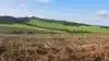 Tanzania er et godt landbrugsland.
