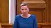 Mette Frederiksen har tidligere i et samråd sagt, at det er hendes ansvar at lede landet. Men hun fralagde sig i Minkkommissionen ansvaret for beslutningen om at aflive alle mink i Danmark uden lovhjemmel. Arkivfoto. 