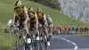 I år begynder cykelløbet Tour de France med tre etaper i Danmark, og det giver danske landmænd mulighed for at udsmykke deres marker, der med lidt held kan blive transmitteret til millioner af seere verden over. Fotograf: Filip Bossuyt