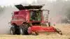 Case IH Axial-Flow 7140 med 12 fods pick-up i rajgræs. Ifølge producenten har årets undersøgelser landet over givet et meget entydigt billede af, at en Axial-Flow maskine klarer sig rigtigt godt som frøtærsker. - Faktisk den bedste, lyder det ubeskedent fra importørens egne anprisninger.