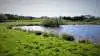 Ud over at være en stor svinebedrift har Sølvbakkegård fuld fokus på biodiversitet. Foto: Djursland Landboforening – Deltidsudvalget