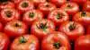 Kina, Italien og Californien står for mere end 65 procent af den globale produktion af tomater. Foto: Colourbox