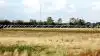 En gigantisk solcellepark på privat grund er i spil til at bidrage til elforsyningen på Apples kommende datacenter ved Kassø i Sønderjylland. Her ses et tilsvarende anlæg, godt nok ikke nær så stort, i Varde. Arkivfoto: John Ankersen. 
