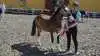 Titlen »Publikums Favorit« gik til den 2 års welsh pony Little Miss Maggie, der er efter hingsten Ilar Maxwell. Hoppen ejes af Katrine Krammer, Ørbæk. Hoppen modtog endvidere ærespræmie sponsoreret af LandbrugFyn.