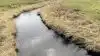 EU kræver ikke en reduktion af landbrugets kvælstofudledning i vandmiljøet, påpeger Bæredygtigt Landbrug, men det får ikke ministeren til at ændre faktaarket med den oplysning.