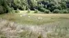 Græsning med får i et Natura 2000-område er udbredt. Arkivfoto.