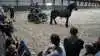 I hestestalden havde deltagerne på Dalum HorseCamp besøg af blandt andet Fyens Køreselskab.