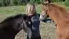 Årets to føl, hoppeføllet Isaya (tv) efter Mitterand/Prinz K3 og hingsteføllet Secret Dancer By Witzel efter Secret/Blue hors Don Olymbrio er hurtigt henne ved Line Witzel, så snart hun går ind på folden.