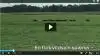 TV Syd har onsdag lagt video op af vildsvin, der spæner over en mark i Sønderjylland.
