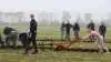 Deltagerne ved DM i skolepløjning skulle blandt andet trække en plov med håndkraft ved Farmer-OL. Her er det deltagere fra Agroskolen i Herning, der er i aktion. Fotos: Henning K. Andersen