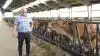 Smilet er vendt tilbage hos mælkeproducent John Trædholm fra Gelsted. Efter otte måneder med bakterien Mycoplasma bovis i hans jerseybesætning på 230 årskøer er prøverne igen udelukkende negative. 