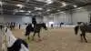 Deltagere ved Scandinavia Jumping Tour havde i år fået to baner at varme op og motionere hestene på.