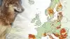 Det er primært i Sydeuropa, at der findes ulve. Men udbredelsen af canis lupus har været for opadgående i Nordeuropa. Foto: Europa-Parlamentet
