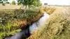 Aktuel planteproduktion og også vand- og naturområdet er i fokus, når ledelsen for Landbrug & Fødevarer Planteproduktion kommer til regionsmøde i Vissenbjerg på næste torsdag aften. 